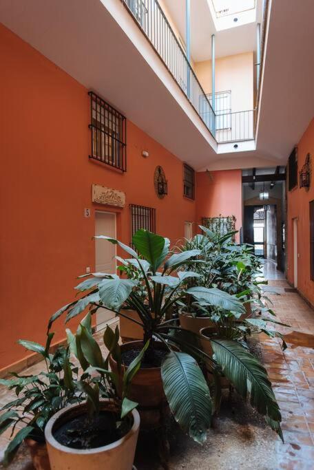 Selecta Elegante Y Centrico Apartamento Севілья Екстер'єр фото